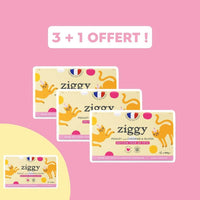 Pâtée Ziggy Jour de Fête au poulet, cheddar et olives - 4x100g édition limitée