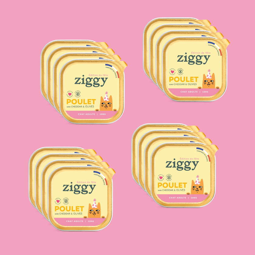 Pack pâtée Ziggy Jour de Fête poulet cheddar et olives, visuel 4 boîtes groupées 4x100g