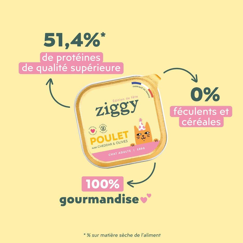 Coffret Jour de Fête Ziggy - vue lifestyle fond clair