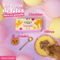 Recette exclusive Ziggy poulet cheddar et olives, 55% de protéines animales, 100% gourmande