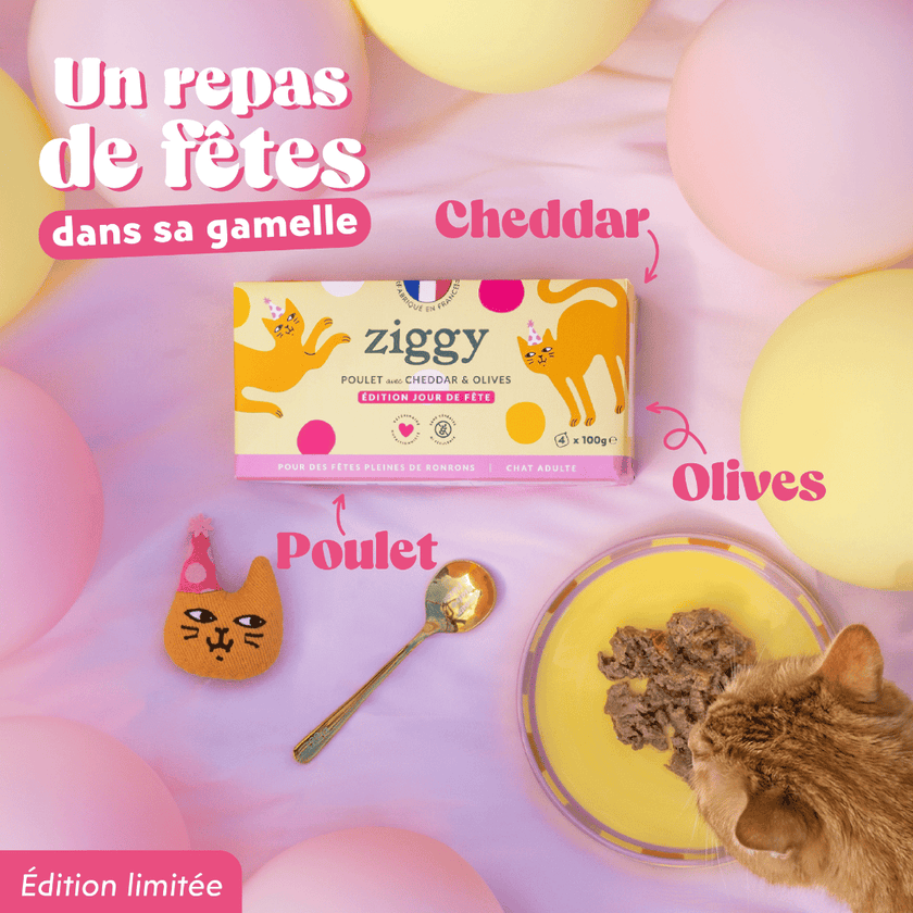 Recette exclusive Ziggy poulet cheddar et olives, 55% de protéines animales, 100% gourmande