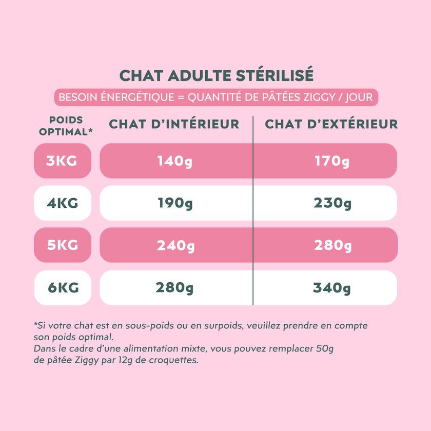 Chat gourmand devant sa pâtée Ziggy Jour de Fête, protéines animales de qualité, fabriquée en Normandie