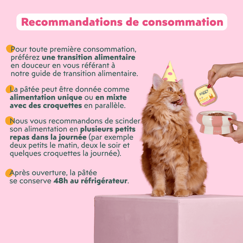 Pour des fêtes pleines de ronrons, coffret pâtée Ziggy Édition Fête poulet cheddar olives