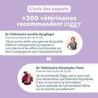 Avis vétérinaire de la pâtée Ziggy Vet pour chat souffrant de diabète, saine et sans amidon