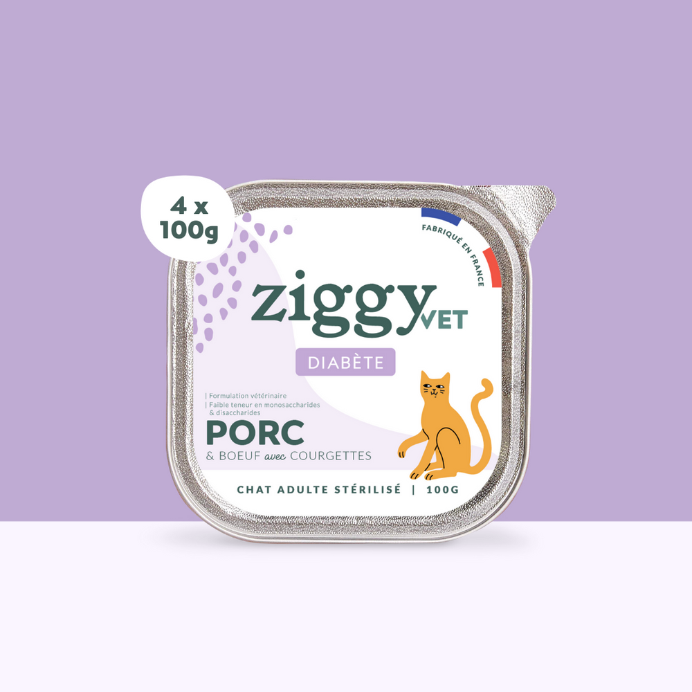 Boite de 4 pâtées Ziggy Vet de 100g pour chat adulte souffrant de diabète