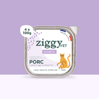 Barquette de 100g de pâtées Ziggy pour chat adulte souffrant de diabète, saines et sans céréales