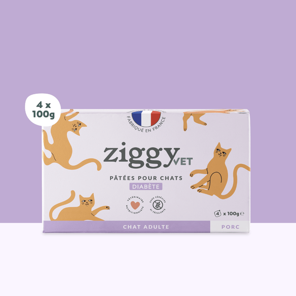 Barquette de 100g de pâtées Ziggy pour chat adulte souffrant de diabète, saines et sans céréales