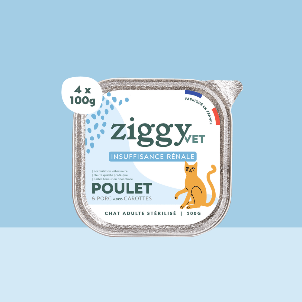 lot de 4 pâtées de 100g Ziggy Vet pour chat adulte souffrant d'IRC (insuffisance rénale chronique)