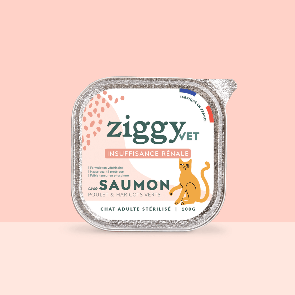 Barquette de pâtée pour chat en insuffisance rénale Chronique (IRC) au saumon de la marque Ziggy
