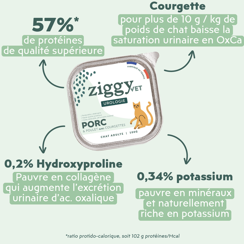Ingrédients de la pâtée Ziggy Vet pour chat souffrant de troubles urinaires, saine et sans amidon