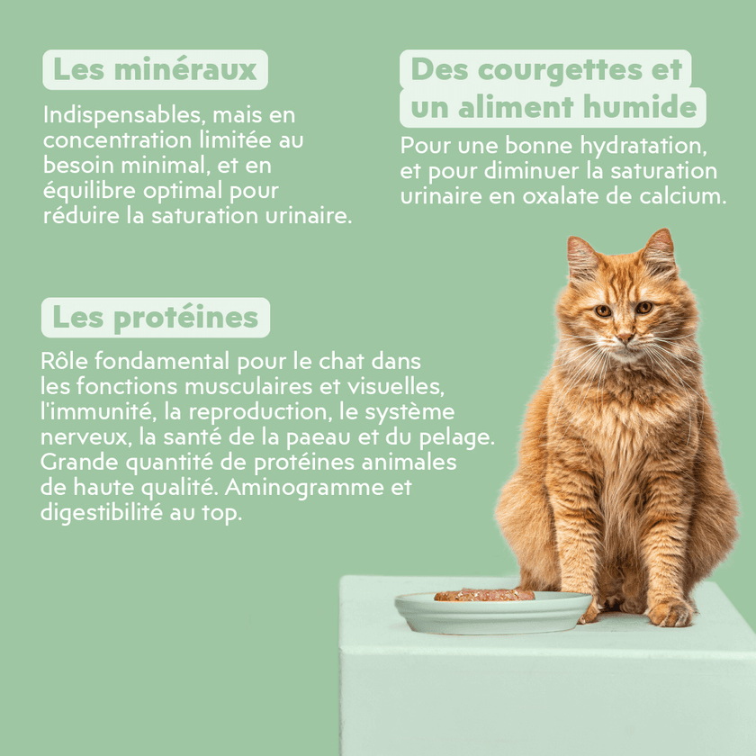Composition de la pâtée Ziggy Vet pour chat souffrant de troubles urinaires, saine et sans amidon