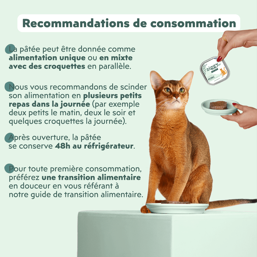 Recommandations de consommation de la pâtée Ziggy Vet pour chat souffrant de troubles urinaires, saine et sans amidon
