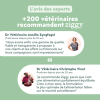 Avis vétérinaire de la pâtée Ziggy Vet pour chat souffrant de troubles urinaires, saine et sans amidon