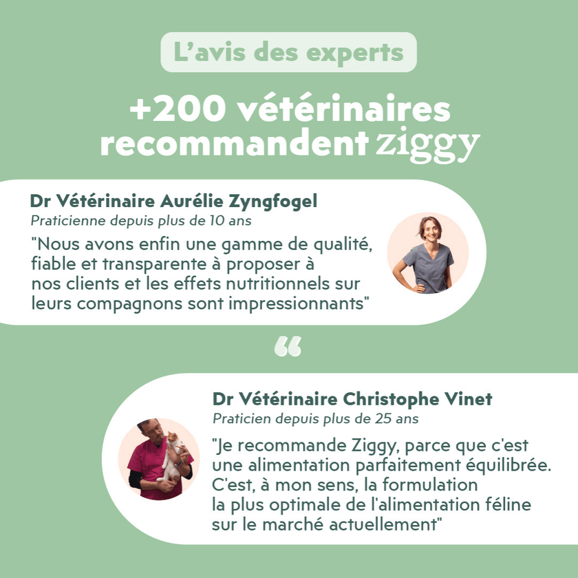 Avis vétérinaire de la pâtée Ziggy Vet pour chat souffrant de troubles urinaires, saine et sans amidon