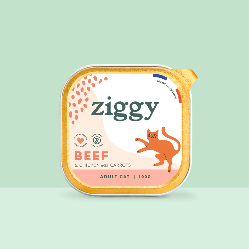 Barquette de 100g de pâtées Ziggy pour chat adulte au boeuf, saines et sans céréales