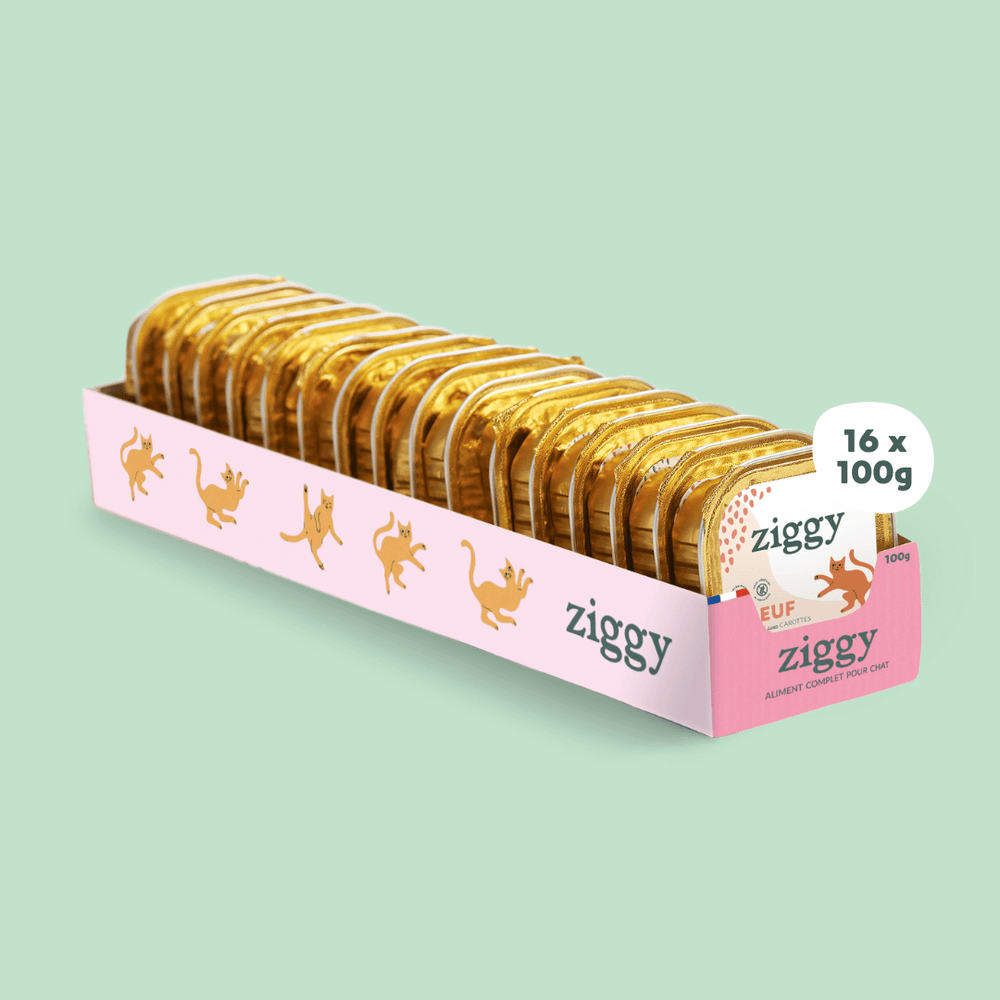 Barquette de 100g de pâtées Ziggy pour chat adulte au boeuf, saines et sans céréales