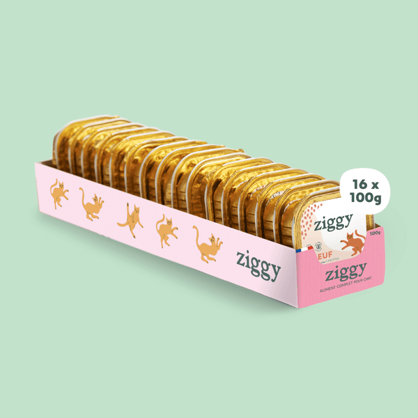 Barquette de 100g de pâtées Ziggy pour chat adulte au boeuf, saines et sans céréales