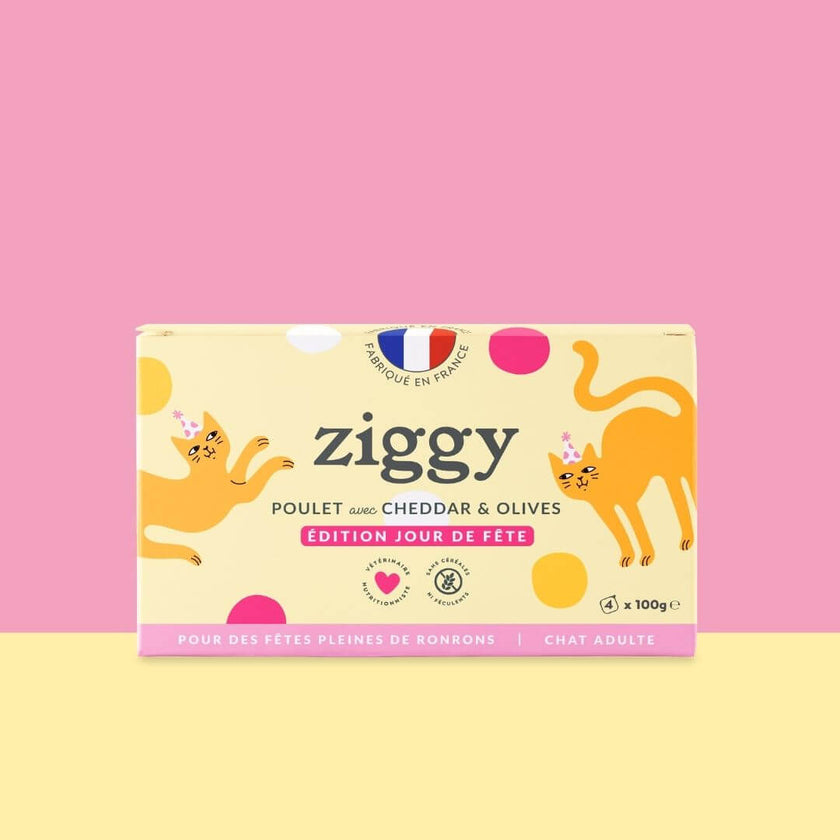 Coffret Jour de Fête Ziggy - photo ambiance décoration festive