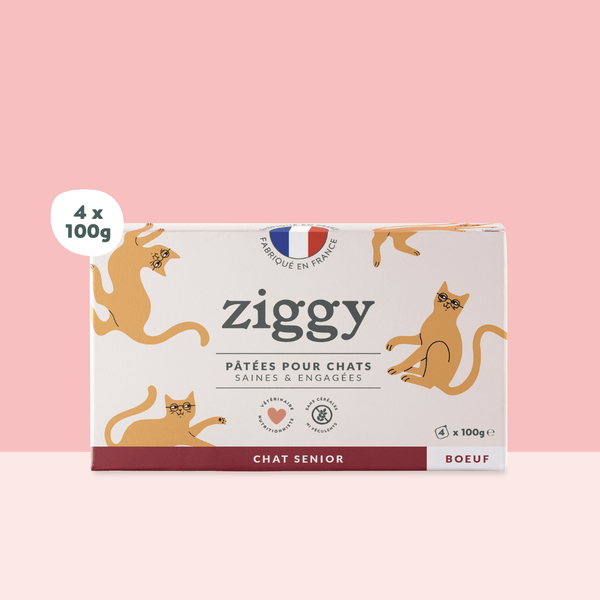 Barquette de 100g de pâtées Ziggy pour chat senior au boeuf, saines et sans céréales