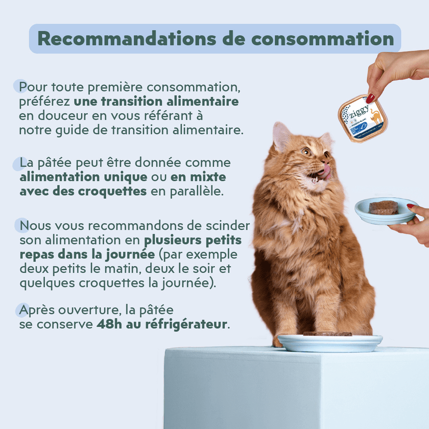 Recommandations de consommation de la pâtée Ziggy pour chat adulte stérilisé au poisson blanc, saine et sans amidon