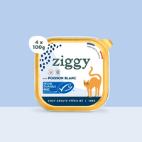 Barquette de 100g de pâtées Ziggy pour chat adulte stérilisé au poisson blanc, saines et sans céréales