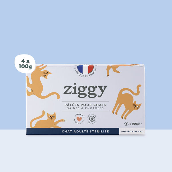 Barquette de 100g de pâtées Ziggy pour chat adulte stérilisé au poisson blanc, saines et sans céréales