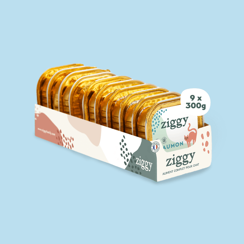 Lot de 9 pâtées de 300g au Saumon pour chat adulte stérilisé sans céréales