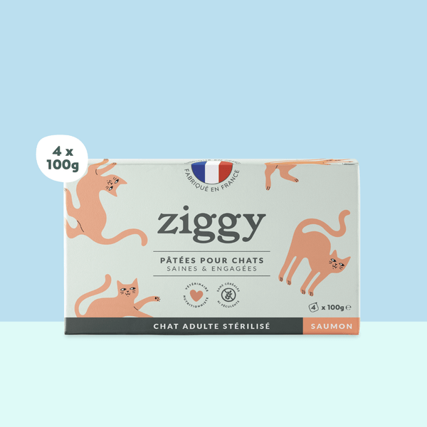 Barquette de 100g de pâtées Ziggy pour chat adulte stérilisé au saumon, saines et sans céréales