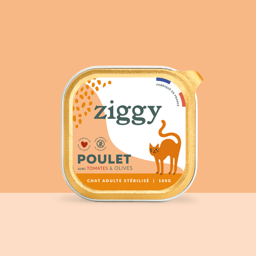 Barquette de la pâtée pour chat adulte stérilisé Ziggy au Poulet, Tomates et Olives