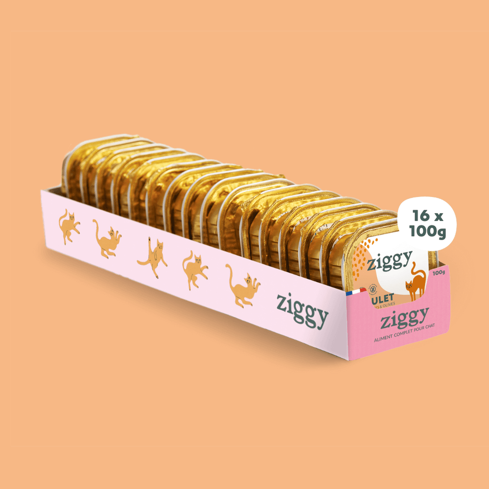 Barquette de la pâtée pour chat adulte stérilisé Ziggy au Poulet, Tomates et Olives