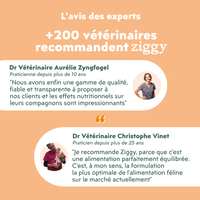 Recommandations vétérinaires de la pâtée pour chat adulte stérilisé Ziggy au Poulet, Tomates et Olives