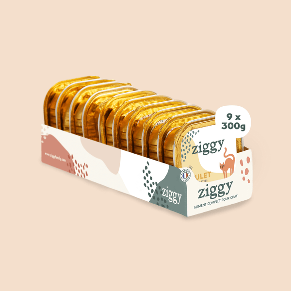 Getreidefreie sterilisierte Katzenpastete - Huhn