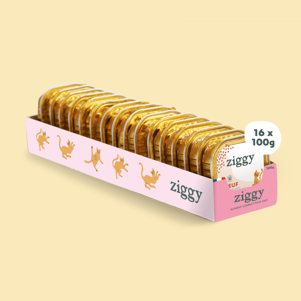 Barquette de 100g de pâtées Ziggy pour chaton au boeuf, saines et sans céréales