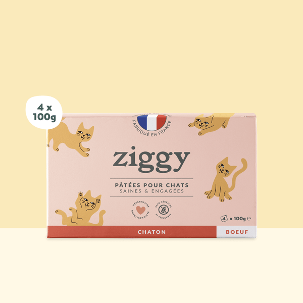 Barquette de 100g de pâtées Ziggy pour chaton au boeuf, saines et sans céréales