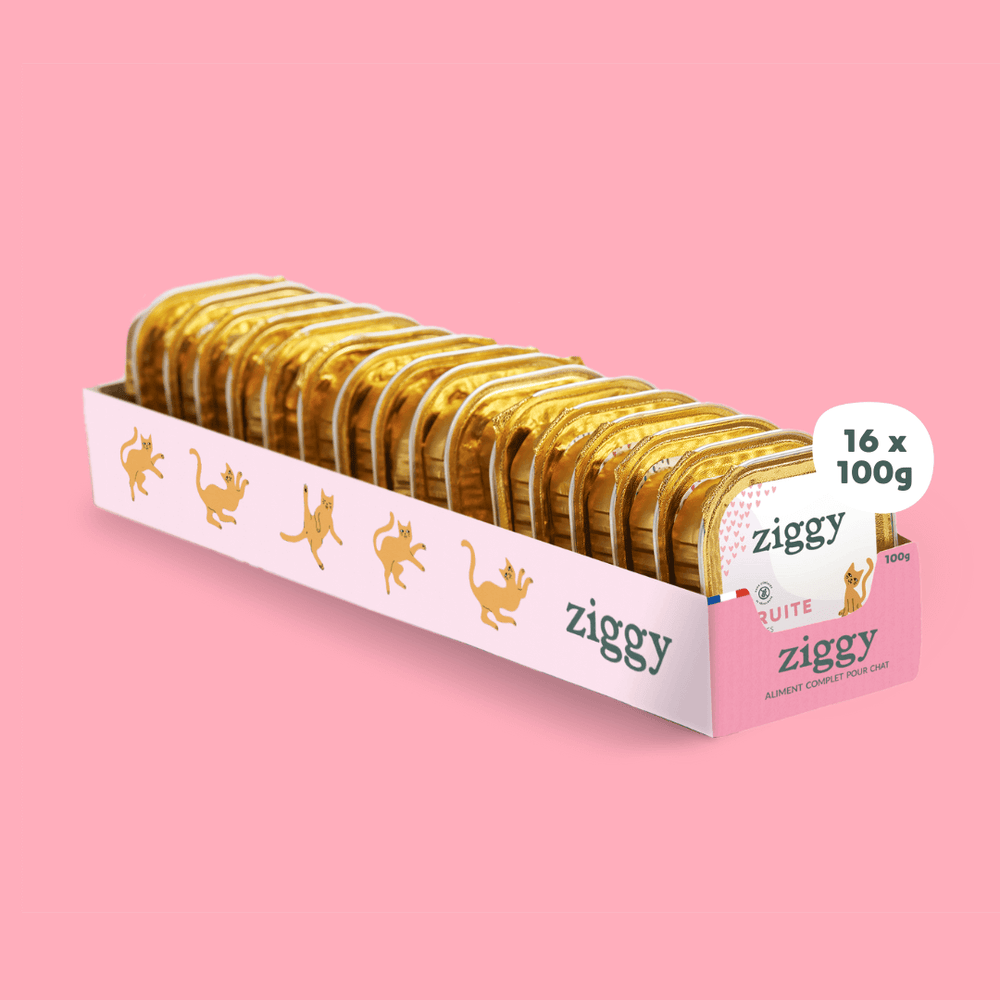 Barquette de 100g de pâtées Ziggy pour chaton à la truite, saines et sans céréales