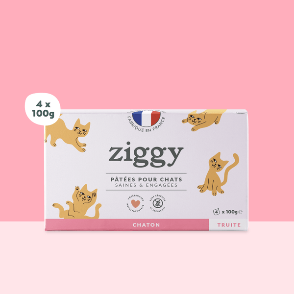 Barquette de 100g de pâtées Ziggy pour chaton à la truite, saines et sans céréales