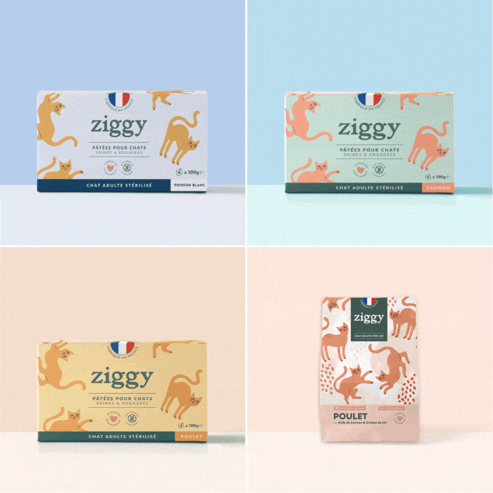 Gif de tous les produits Ziggy pour chats