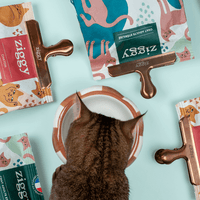 Chat entouré de paquets de croquettes pour chat Ziggy qui sont fermés avec des pinces à sachet de croquettes