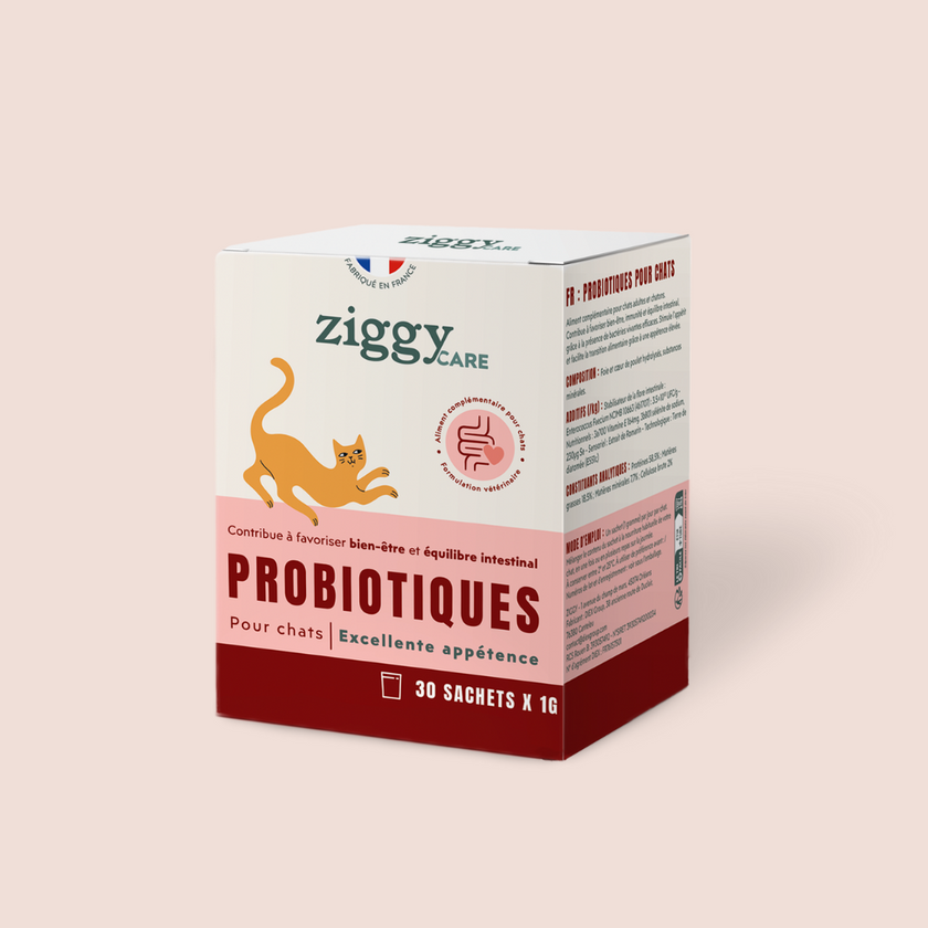 1 boite de 30 sachets de probiotiques de 1g Ziggy pour chat et chaton qui améliorent la digestion chez le chat