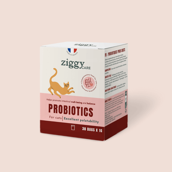 1 boite de 30 sachets de probiotiques de 1g Ziggy pour chat et chaton qui améliorent la digestion chez le chat