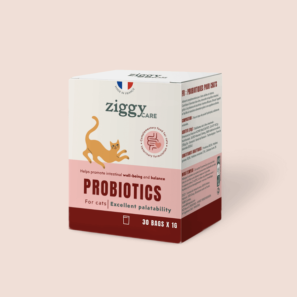 1 boite de 30 sachets de probiotiques de 1g Ziggy pour chat et chaton qui améliorent la digestion chez le chat