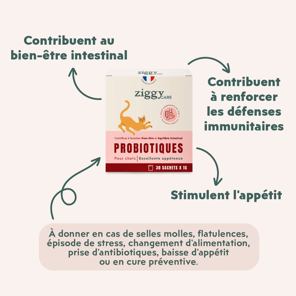 1 boite de 30 sachets de probiotiques de 1g Ziggy pour chat et chaton qui améliorent la digestion chez le chat
