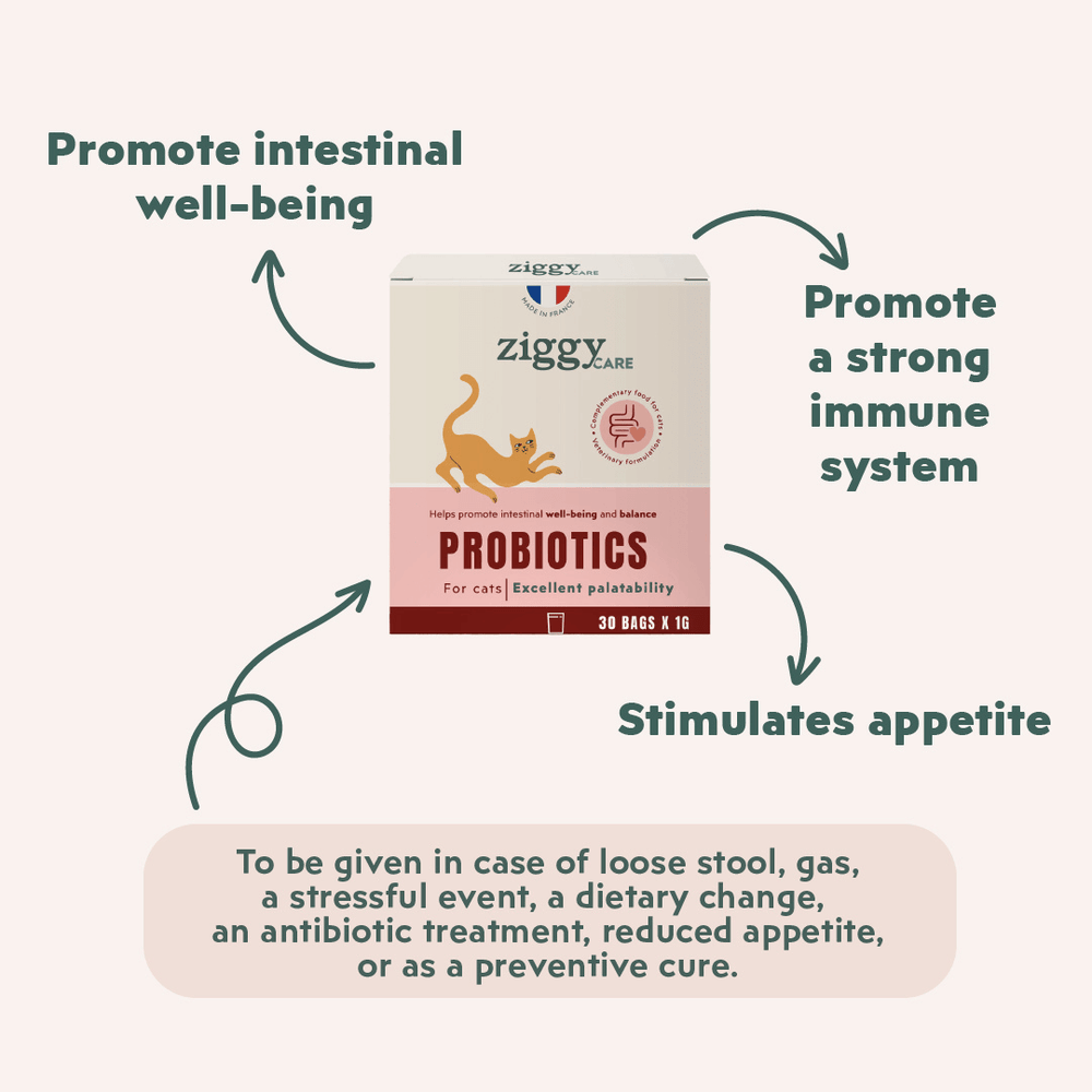 1 boite de 30 sachets de probiotiques de 1g Ziggy pour chat et chaton qui améliorent la digestion chez le chat