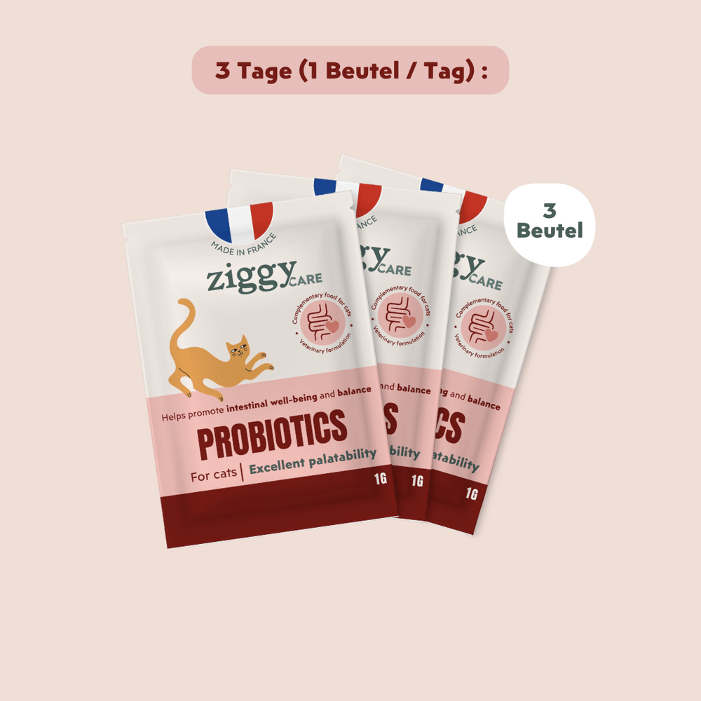 3 sachets de probiotiques pour chat et Chaton Ziggy qui contribuent à la santé digestive du chat