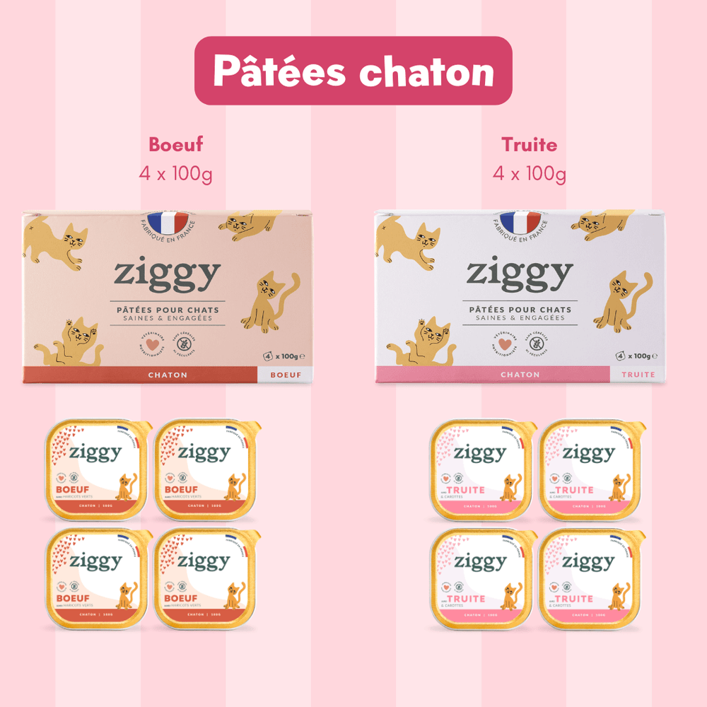 Coffret découverte chaton avec 1kg de croquettes chaton, 8 pâtées pour chaton et 3 sachets de probiotiques 
