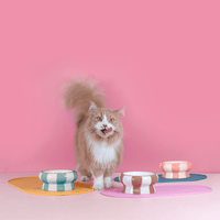 Chat roux qui se lèche les babines devant les tapis de gamelle et les gamelles pour chat Ziggy