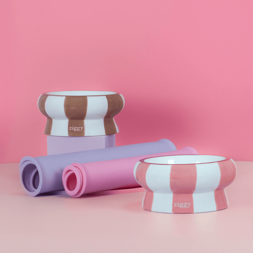 Gamelles et tapis de gamelle pour chat Ziggy