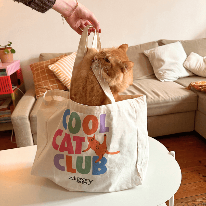 Sublime Chat adulte stérilisé roux dans le totebag Ziggy Cool Cat Club