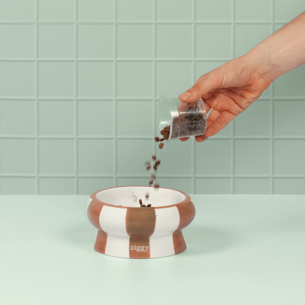 Verre doseur Ziggy pour servir les croquettes pour chat Ziggy