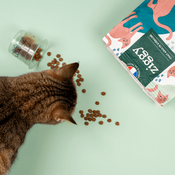 Verre doseur Ziggy pour servir les croquettes pour chat Ziggy
